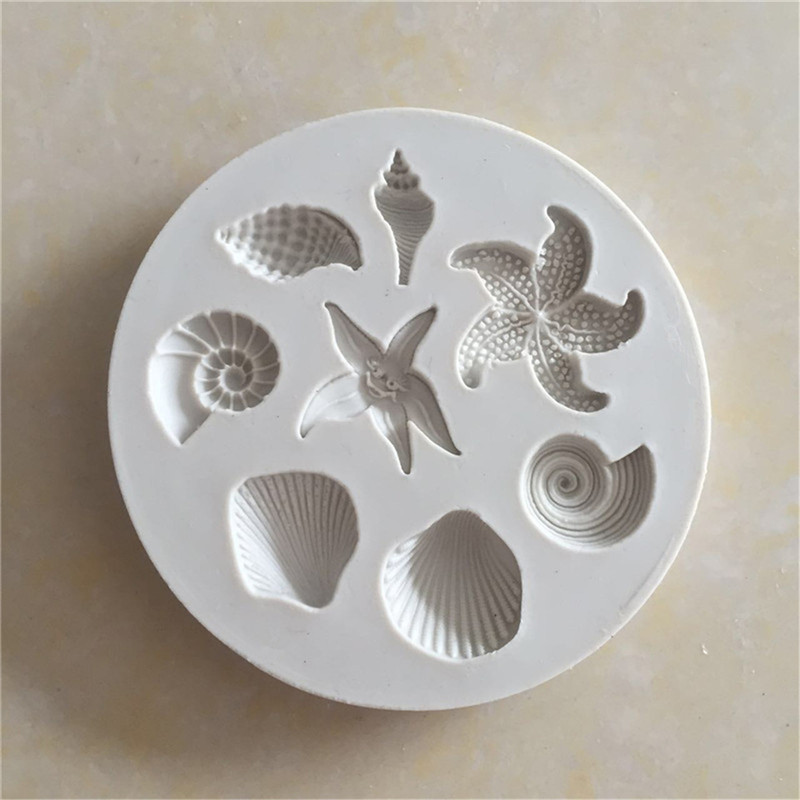 Nieuwe【Ocean Biological Conch  - Kitchen Gadgets New recensie en prijs