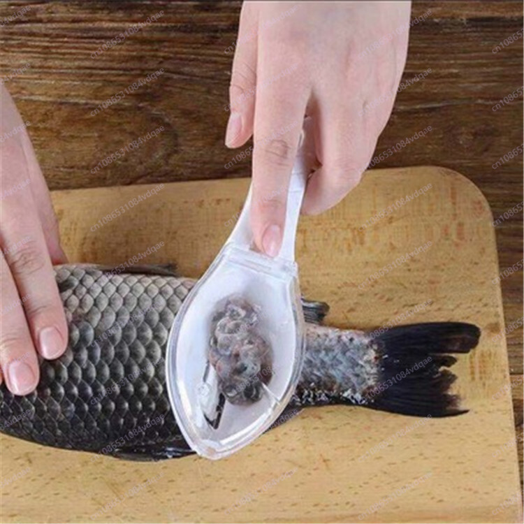 Populair visschubben schraapar - Kitchen Gadgets Popular recensie en prijs